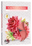 Svíčka čajová CACTUS FLOWERS 6ks G