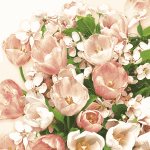 Ubrousky Maki Pink Tulips & Cherry Blossom, 33 x 33 cm NE