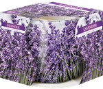 Svíčka ve skle s folií vonná LAVENDER 100g G