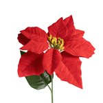 Vánoční hvězda Lux