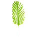 Palmový list 51cm