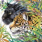 Ubrousky Maki Wild Cats Fantasy, 33 x 33 cm, 3vr., 20ks