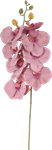 Orchidej žíhaná růžová 76 cm
