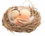 Hnízdo s vajíčky 7 cm