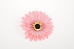 Květ gerbera 11cm