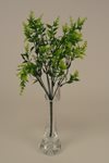 Zimostráz větvička - 7 větviček 34 cm