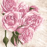 Ubrousky Maki Light Pink Roses with Buds, 33 x 33 cm