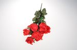 Větvička růže x7, v. 80cm